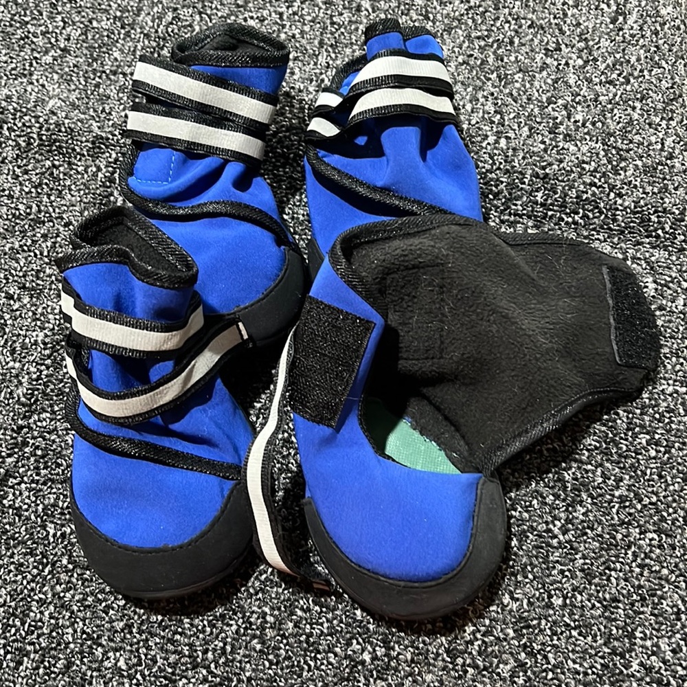 Dog booties